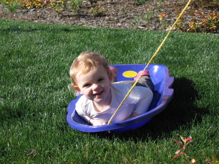 Yard sledding