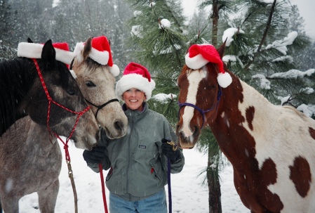 Debi and Horses