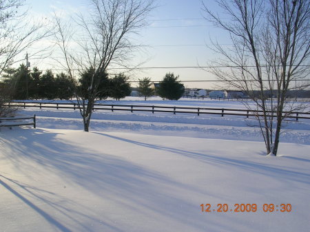 Blizzard 2009 002