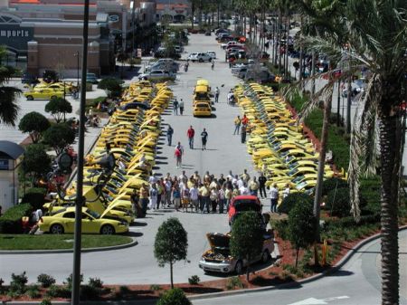 Yellow Mustang Registry in Orlando 2005