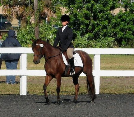 Gaby and "Pepe'" in their first dressage show.