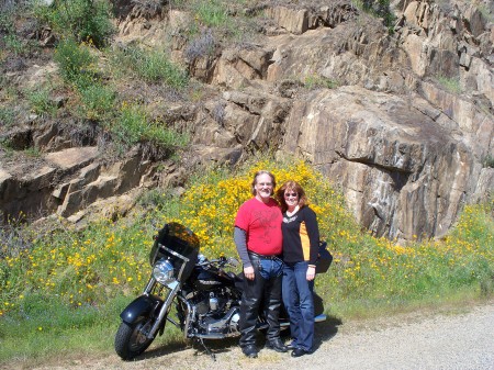 Harley on the Blossom Trail