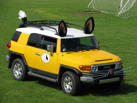 The CatMobile -Animal Rescue Vehicle