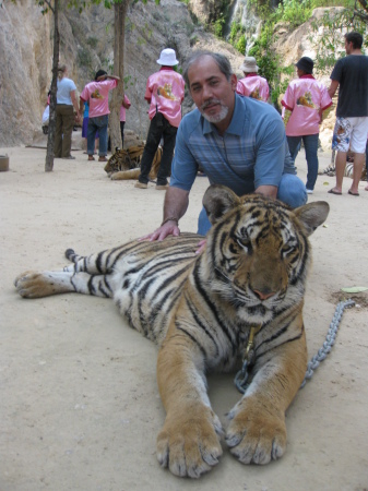 At the Tiger Temple in Thailand