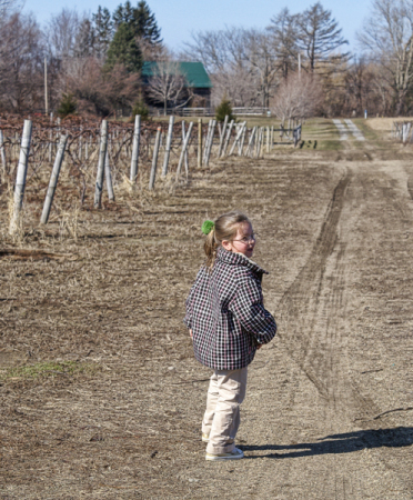 Cameryn, taking a walk through the grapes.