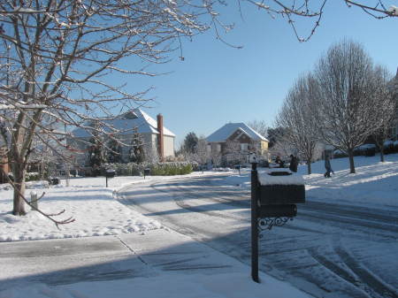 Feb. 2010 snow