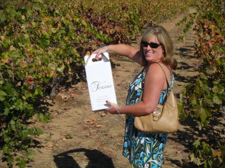 Winery in Amador County CA