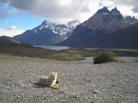 Torres del Paine national Park March 2009