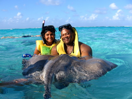 Sting Rays