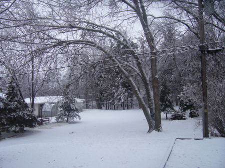 Minnesota Winter