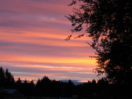 Sunset In My Backyard