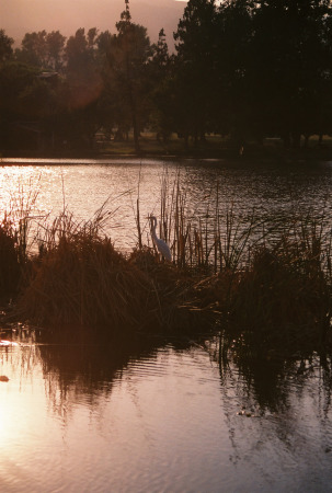 Sunset at Glen Helen Park