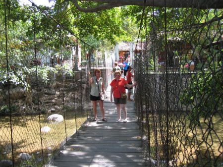 SWINGING BRIDGE