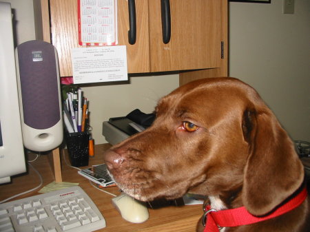 Lacey helping me with the computer!