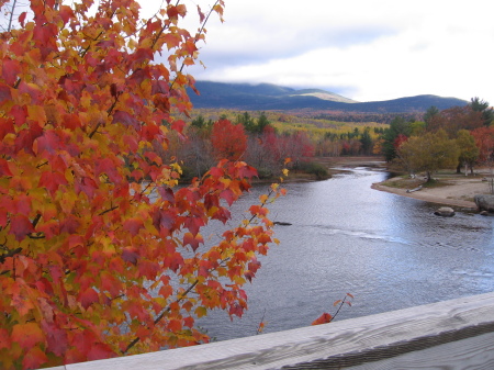 Along the Appalachian Trail