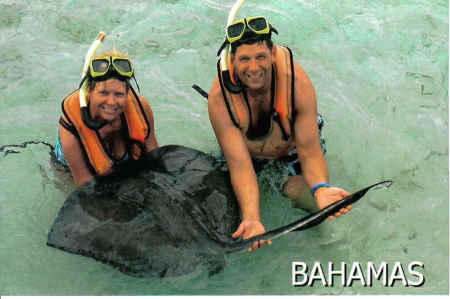 Swimming with the Stingrays