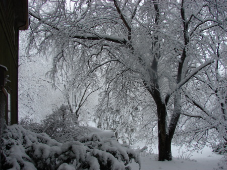 Spring Snowstorm  03-28-09