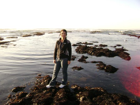 Beach in California