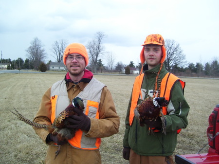 Pheasant hunting