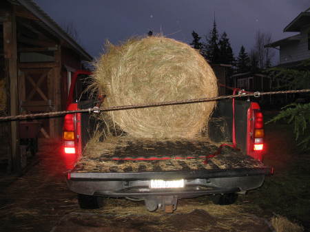 Round Bale