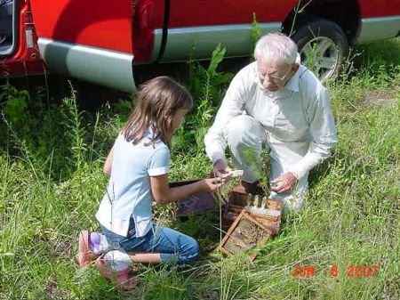 Training a Young Beekeeper