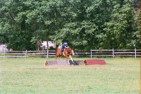 My Last Jumping Competition