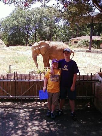 Daniel and Will-Jackson Zoo Sept 2009