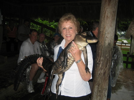 Alligator Farm Miami 12/2009