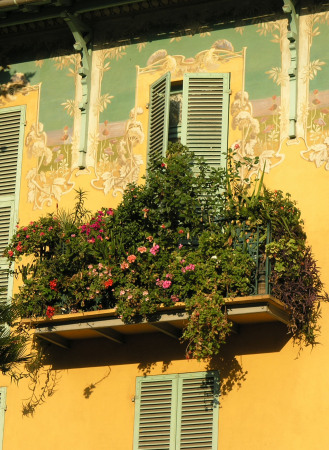 Menton window