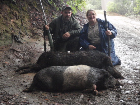 Two Dead Wild Pigs