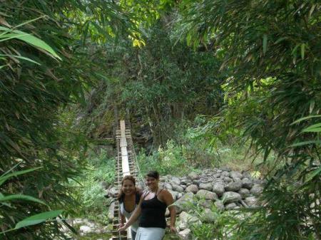 Hiking Waihee Valley Swinging bridges