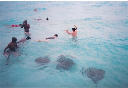 Swimming with the sting rays