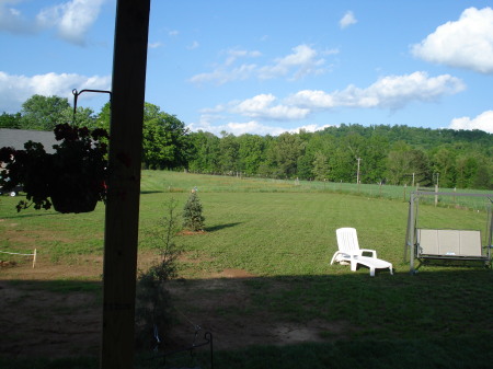 View off back porch May 2009