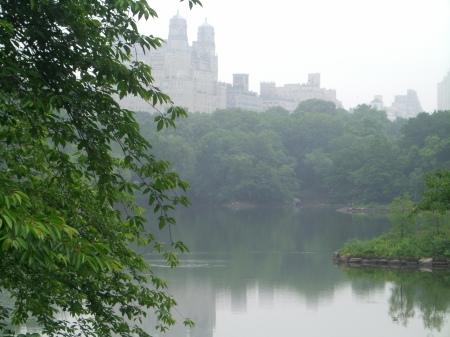 Central Park around the lake