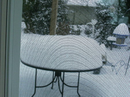 2008 snow storm
