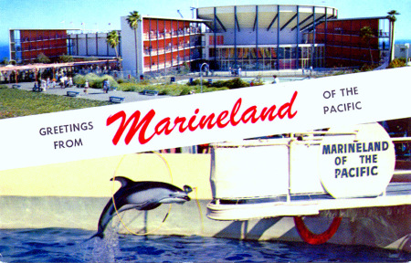 Marineland Postcard