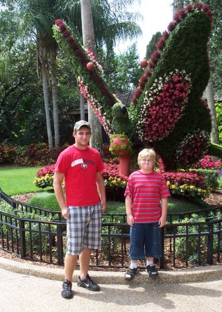 Bush Gardens