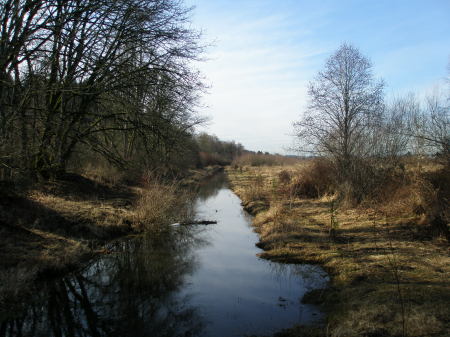 The Creek behind my house in January