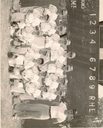 1962 Yanks