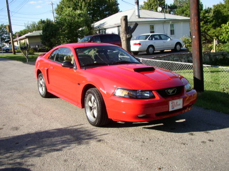 My 2002 Mustang