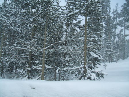 South Shore Tahoe Snow