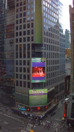 Miss Nyah in Times Square, NY