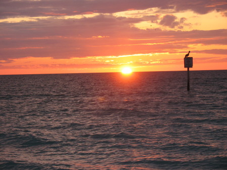 Clearwater beach sunset