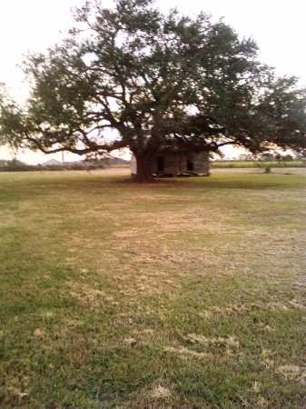 Two bed room house,Pecan tree.