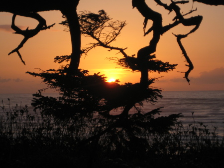 A beautiful sunset picture at ocean shores.