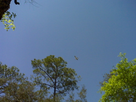 Sea Plane flying over campsite (Not Mine)