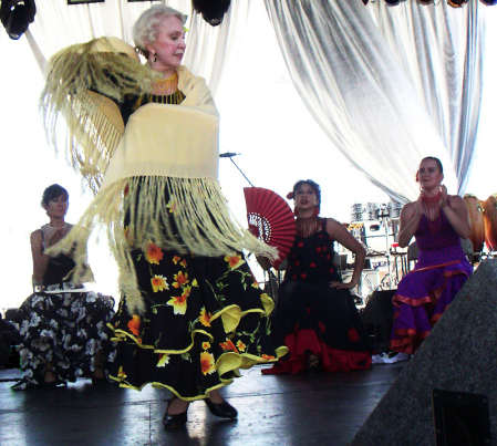 Flamenco performance