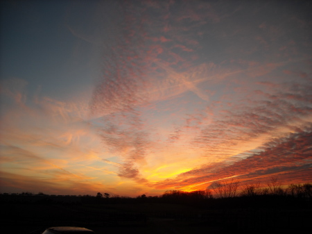 Back Yard Sunset