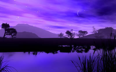 purplenight