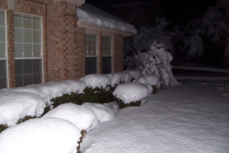 Texas Snowfall